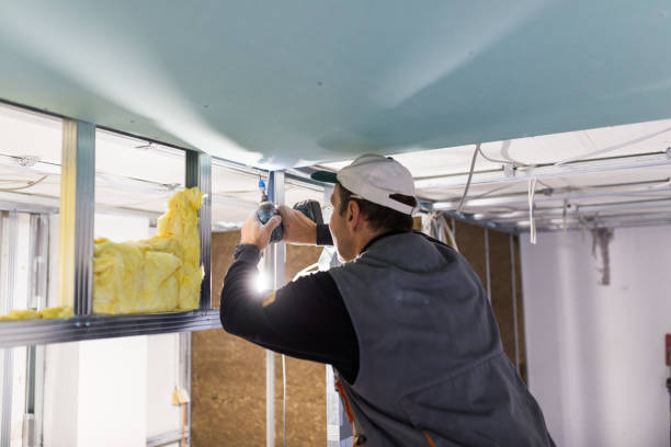 Best Cellulose Insulation in Dell Rapids, SD