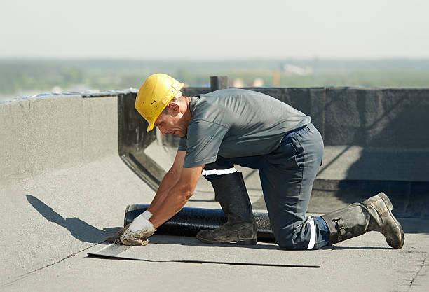Best Specialized Insulation Services in Dell Rapids, SD